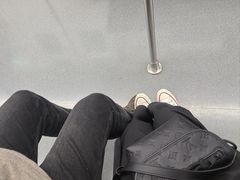 -公平路渡口(轮渡站)