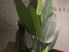 -泰适SPA馆丨精油·按摩·足道(后海地铁口店)