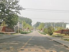 -东郊湿地公园
