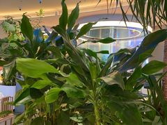 -桂满陇·杭州饭店(清河万象店)