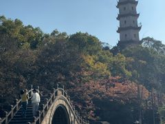 -江心屿景区