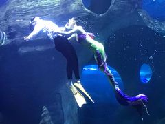 -多彩贵州城极地海洋世界