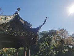 -上海醉白池公园