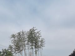 -少华山国家森林公园