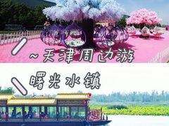 -唆了蜜团建·趣味沉浸式剧情·蹦床轰趴运动拓展基地(天津旗舰店)
