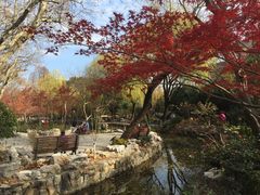 -鲁迅公园