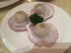 扇贝带子-8餐厅(新葡京酒店)