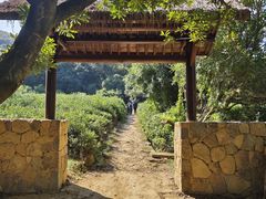 -南北湖风景区