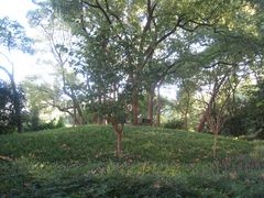 -徐家汇源景区-衡山公园