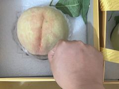 -老袁家蜜桃农场·阳山水蜜桃