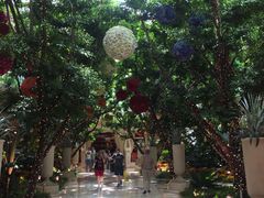 -拉斯维加斯永利酒店