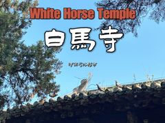 -洛阳白马寺