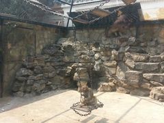 android_upload_pic-北京市海淀外国语实验学校