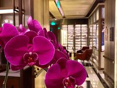 -恰餐厅及酒吧CHAR Bar & Grill(北京三里屯洲际店)