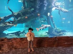 -华夏文旅海洋公园