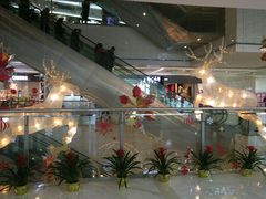 -远洋未来汇