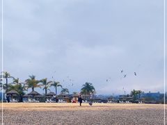 -月亮湾湿地公园