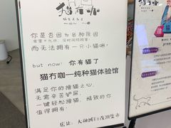 -猫冇咖·家门口的撸猫馆(大融城店)