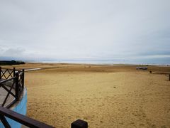 -日照海滨国家森林公园