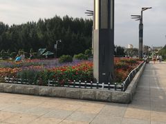 -长春公园(普阳街道)