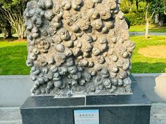 -安徽省地质博物馆