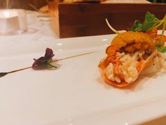 马粪海胆-蝶舍·MAISON PAPILLON