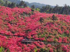 -木兰云雾山