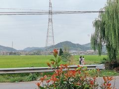 -李东农庄(中南百草园地标店)