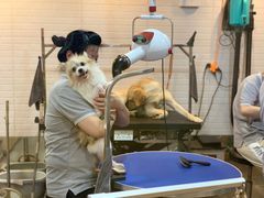-PETKIT小佩宠物(古北店)