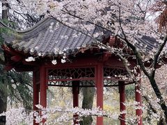 -鸡鸣寺