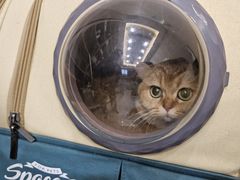 -瑞派宠物医院(搏威敦和院)