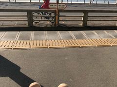 -灌篮高手动画打卡地