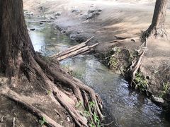 -白水寺森林公园