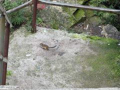 -帽儿山风景区