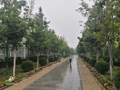 -南宫五洲植物乐园