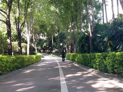 -荔香公园