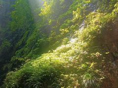 -神农溪纤夫文化旅游区