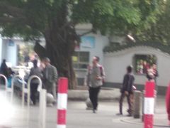 -晓港公园