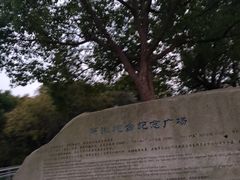 -吴淞炮台湾湿地森林公园烧烤区