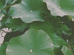 -远山有窑