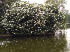 -天鹅湖体育公园