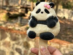 -都江堰中华大熊猫苑