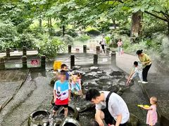 -成都市活水公园