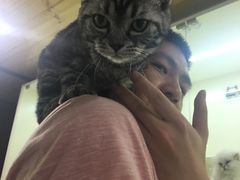 -十年猫舍·猫咪专门店(普陀店)