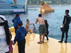 -秦皇岛乐岛海洋王国