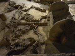 -洛阳周王城天子驾六博物馆