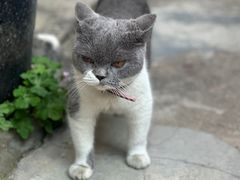 -老屋咖啡