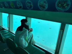 -亚龙湾海底世界