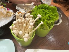 海鲜菇-东海怡品海鲜豆捞(舟宿夜江店)