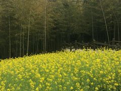 -陶祖圣境风景区